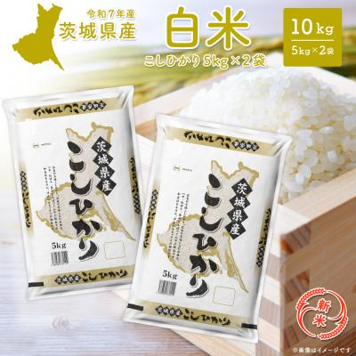 ふるさと納税 境町 [新米/白米]茨城県産 コシヒカリ 10kg (5kg×2袋) 12月内発送 R7年産