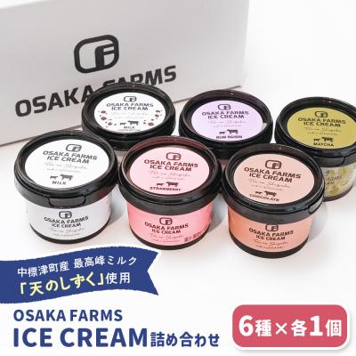 ふるさと納税 中標津町 OSAKA FARMS ICE CREAM 詰め合わせ6個入りセット[51013]