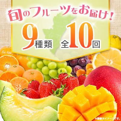 ふるさと納税 宮崎県 【10回定期便】南国宮崎産人気フルーツ詰め合わせ(E-3コース M700) |  | 03