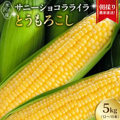 ふるさと納税 米沢市 [先行受付]令和8年産 とうもろこし 5kg(12本〜15本)サニーショコラ ライラ