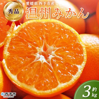 ふるさと納税 西予市 &lt;西予市産 温州みかん 秀品 約3kg 温州 丸二青果 蜜柑 ミカン みかん