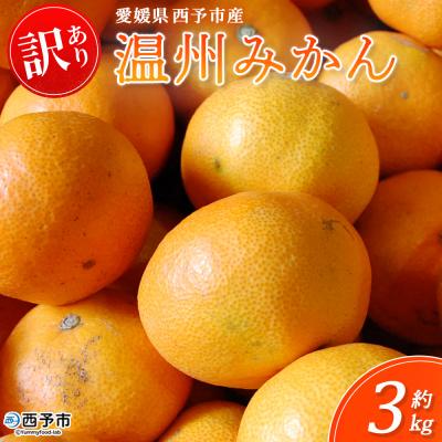 ふるさと納税 西予市 &lt;西予市産 温州みかん 訳あり 約3kg&gt; 温州 丸二青果 蜜柑 ミカン