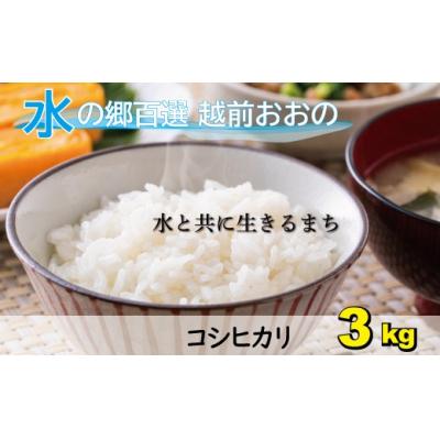 ふるさと納税 大野市 [令和7年産]こしひかり(福井県大野市産)エコファーマー(白米)米3kg