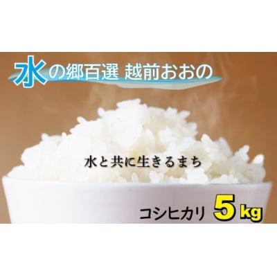 ふるさと納税 大野市 [令和7年産]こしひかり(福井県大野市産)エコファーマー米(白米)5kg