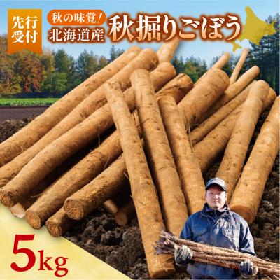 ふるさと納税 清水町 先行受付!2026年10月頃〜発送開始!北海道十勝清水町産 ごぼう! 5kg