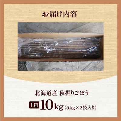 ふるさと納税 清水町 先行受付!2026年10月頃〜発送開始!北海道十勝清水町産 ごぼう! 10kg |  | 03
