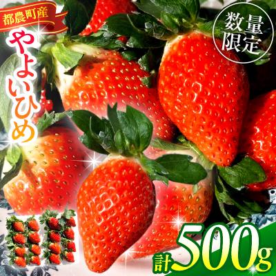 ふるさと納税 都農町 ≪先行予約≫都農町産いちご「やよいひめ」計500g フルーツ 果物 イチゴ 国産