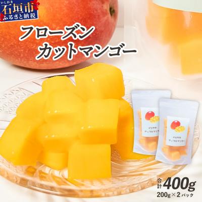 ふるさと納税 石垣市 <先行予約>フローズンカットマンゴー400g <2026年6月順次発送>