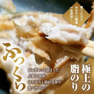 ふるさと納税 愛南町 【7日以内発送】 数量限定 ブリカマ 2.5kg ハマスイ 愛南町 愛媛県 |  | 01