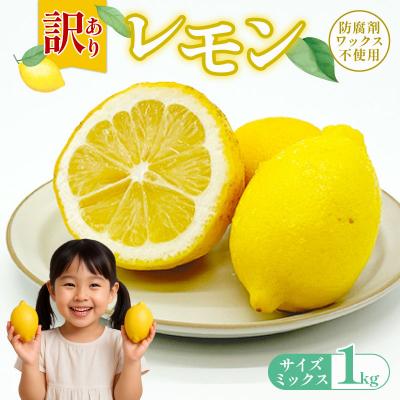 ふるさと納税 愛南町 訳ありレモン 1kg サイズミックス カラーミックス 愛南町 青果市場