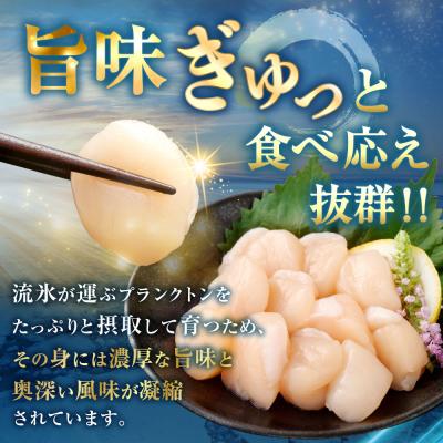 ふるさと納税 釧路市 【数量限定】北海道産 旨味濃厚 絶品ホタテ 旨粒 計1.2kg【最短3営業日以内発送】 |  | 02