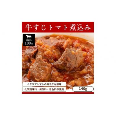 ふるさと納税 春日井市 お試し[レトルト食品]牛すじトマト煮込み(140g×2パック)