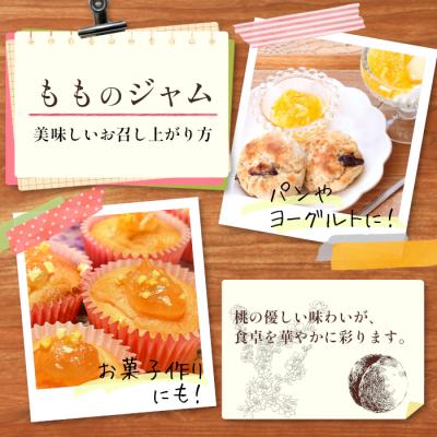 ふるさと納税 東白川村 着色料・保存料・ゲル化剤不使用! ももジャム 3個 180g×3個 岐阜県産 桃 ジャム 国産 |  | 03