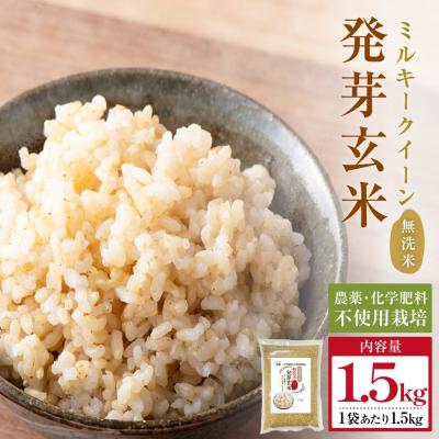ふるさと納税 玖珠町 栽培期間中農薬・化学肥料不使用 発芽玄米 (大分県産ミルキークイーン) 1.5kg×1袋 無洗米 | 