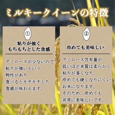 ふるさと納税 玖珠町 栽培期間中農薬・化学肥料不使用 発芽玄米 (大分県産ミルキークイーン) 1.5kg×1袋 無洗米 |  | 03