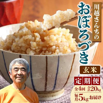 ふるさと納税 雨竜町 [定期便全4回]令和7年産 川越さんちの おぼろづき 玄米 5kg(5kg×1袋)毎月1回お届け