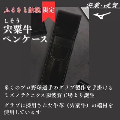 ふるさと納税 宍粟市 宍粟牛 ペンケース[ ペン 筆入れ ミズノ グラブ グローブ 牛革 限定]AO78