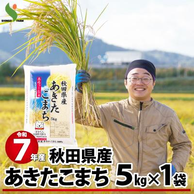 ふるさと納税 大館市 [訳あり]令和7年産秋田県産あきたこまち(普通米)5kg