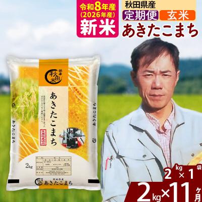 ふるさと納税 北秋田市 新米 令和8年産 《定期便11ヶ月》秋田県産 あきたこまち 2kg【玄米】|msrf-22411 | 