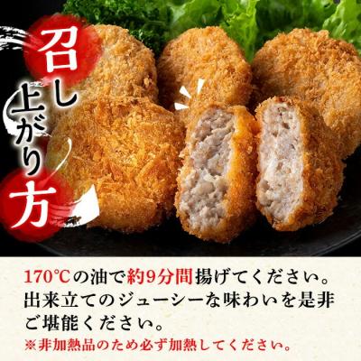 ふるさと納税 いちき串木野市 【訳あり・業務用】メンチカツ30個 鹿児島県産 豚肉 使用 国産たまねぎ使用 |  | 03