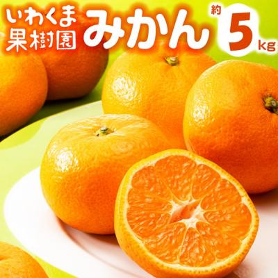 ふるさと納税 新宮町 いわくま果樹園の温州みかん(約5kg)/2026年9月下旬〜2027年1月下旬発送予定