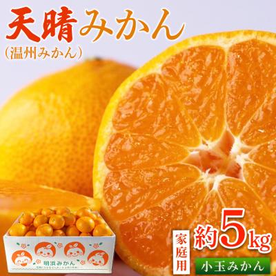 ふるさと納税 西予市 【先行受付】<愛媛県明浜産 天晴みかん(温州みかん)約5kg 小玉サイズ>家庭用 訳あり笑丸 | 