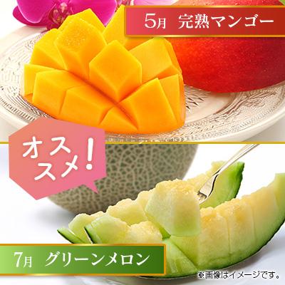 ふるさと納税 宮崎県 【奇数月6回定期便】南国宮崎産人気フルーツ詰め合わせ(C-1コース M310) |  | 02