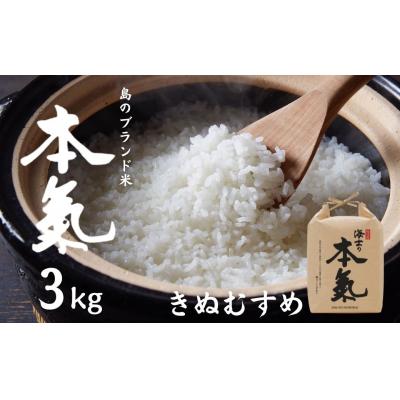 ふるさと納税 海士町 [ふるさと納税]島のブランド米「本氣米」3kg(きぬむすめ)