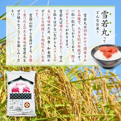 ふるさと納税 米沢市 【6ヶ月定期便】 令和7年産 雪若丸 5kg × 6回 計30kgの画像