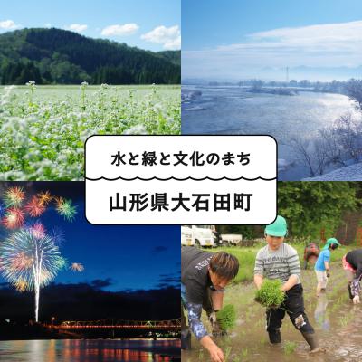 ふるさと納税 大石田町 米 令和7年産 はえぬき 無洗米 30kg 10kg×3袋 順次発送 ap-hamxa10x3の画像