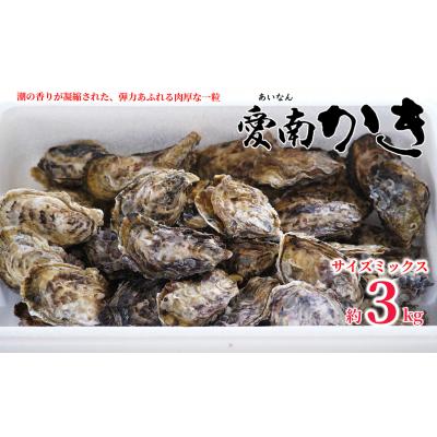 ふるさと納税 愛南町 先行受付 殻付き 愛南かき 3kg サイズミックス 牡蠣 カキ 愛南町 愛媛県