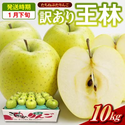 ふるさと納税 五所川原市 [2026年1月下旬]王林 約 10kg 訳ありりんご たちねぷたりんご 青森県 五所川原市