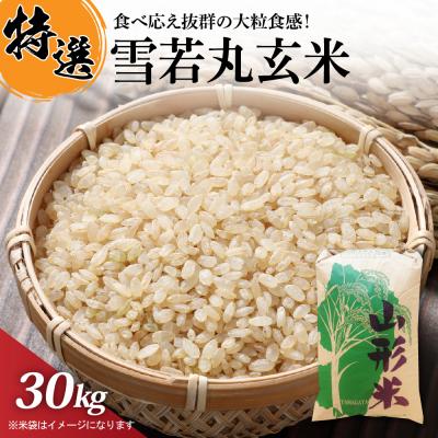 ふるさと納税 河北町 [令和7年産米]一等米 雪若丸 玄米 30kg 山形県産[丹野商店]