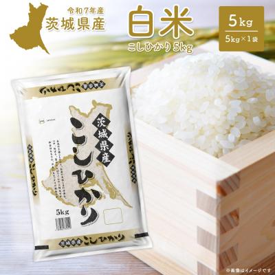 ふるさと納税 境町 【令和7年産/白米】 〈令和8年1月内発送〉こしひかり 5kg 茨城県産 米 小分け 2025年産
