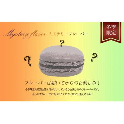 ふるさと納税 善通寺市 もりん 訳あり マカロン 20個　詰め合わせ_2