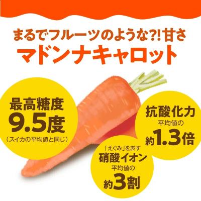 ふるさと納税 碧南市 【期間・数量限定】(お試し)訳あり!こどもも食べられる甘みマドンナキャロット1kg H105-263 |  | 02