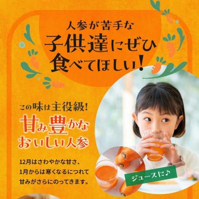 ふるさと納税 碧南市 【期間・数量限定】(お試し)訳あり!こどもも食べられる甘みマドンナキャロット1kg H105-263 |  | 03