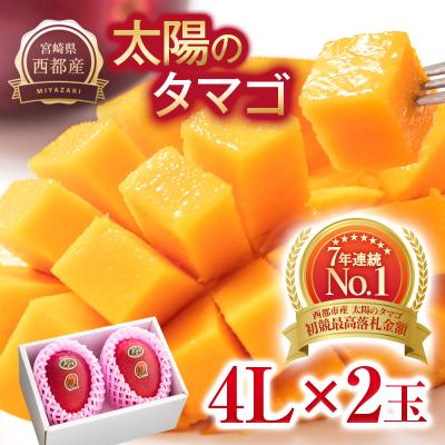 ふるさと納税 西都市 宮崎県西都市産完熟マンゴー『太陽のタマゴ』4L×2玉 d[3043]