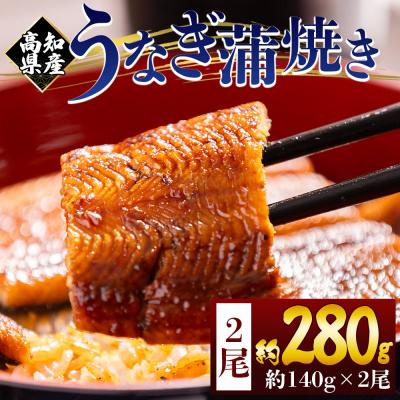 ふるさと納税 香南市 うなぎの蒲焼き 約140g 2尾(高知県産) 計約280g フジ物産 国産 fb-0144