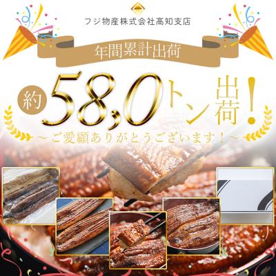 ふるさと納税 香南市 国産うなぎの蒲焼 鰻蒲焼 約200g 1尾(高知県産) 国産うなぎ蒲焼 うなぎ fb-0159 |  | 01