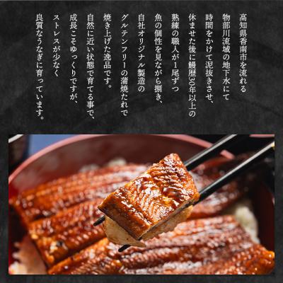 ふるさと納税 香南市 国産うなぎの蒲焼 鰻蒲焼 約200g 1尾(高知県産) 国産うなぎ蒲焼 うなぎ fb-0159 |  | 02