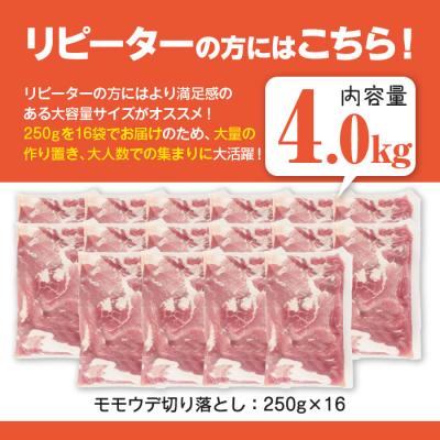 ふるさと納税 曽於市 鹿児島県産 豚肉切り落とし (計4kg ) |  | 02
