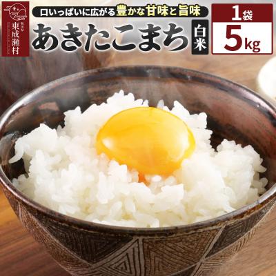 ふるさと納税 東成瀬村 米[白米]東成瀬村産 あきたこまち 5kg(5kg×1袋)|07_tws-040101