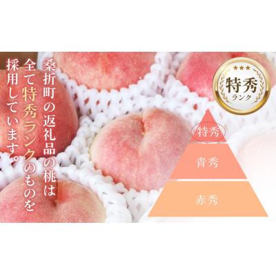ふるさと納税 桑折町 もも【あかつき・2026年産先行受付】特秀1.5kg「献上桃の郷ブランド品」桑折町産 JAふくしま未の画像