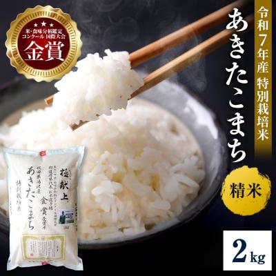 ふるさと納税 湯沢市 [令和7年産]特別栽培米 あきたこまち 精米 2kg[M2101]