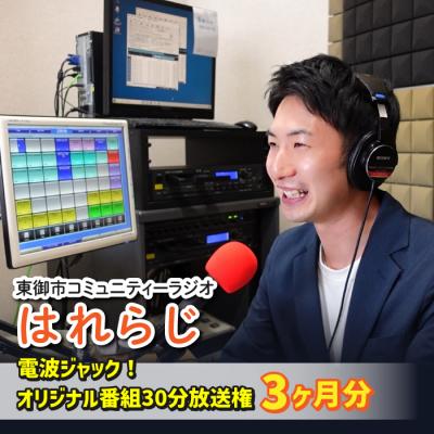 ふるさと納税 東御市 [はれラジ]電波ジャック! 30分オリジナル番組放送権(3ヶ月分)|FMとうみ