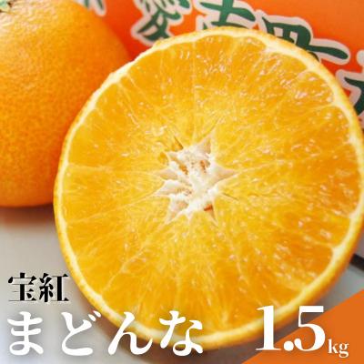 ふるさと納税 愛南町 [2026年12月上旬〜]宝紅まどんな 1.5kg 紅まどんな みかん 愛媛県 愛南町 吉本農園