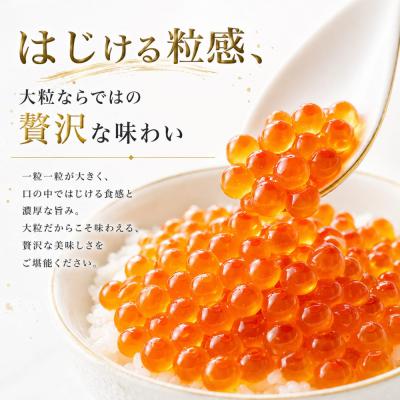 ふるさと納税 名古屋市 訳あり いくら醤油漬け 鮭卵 化粧箱入 500g(250gx2P)  尾張まるはち |  | 01
