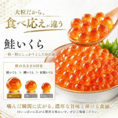 ふるさと納税 名古屋市 訳あり いくら醤油漬け 鮭卵 化粧箱入 500g(250gx2P)  尾張まるはち |  | 02