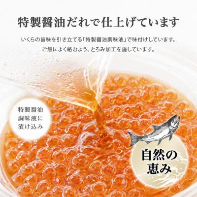ふるさと納税 名古屋市 訳あり いくら醤油漬け 鮭卵 化粧箱入 500g(250gx2P)  尾張まるはち |  | 03
